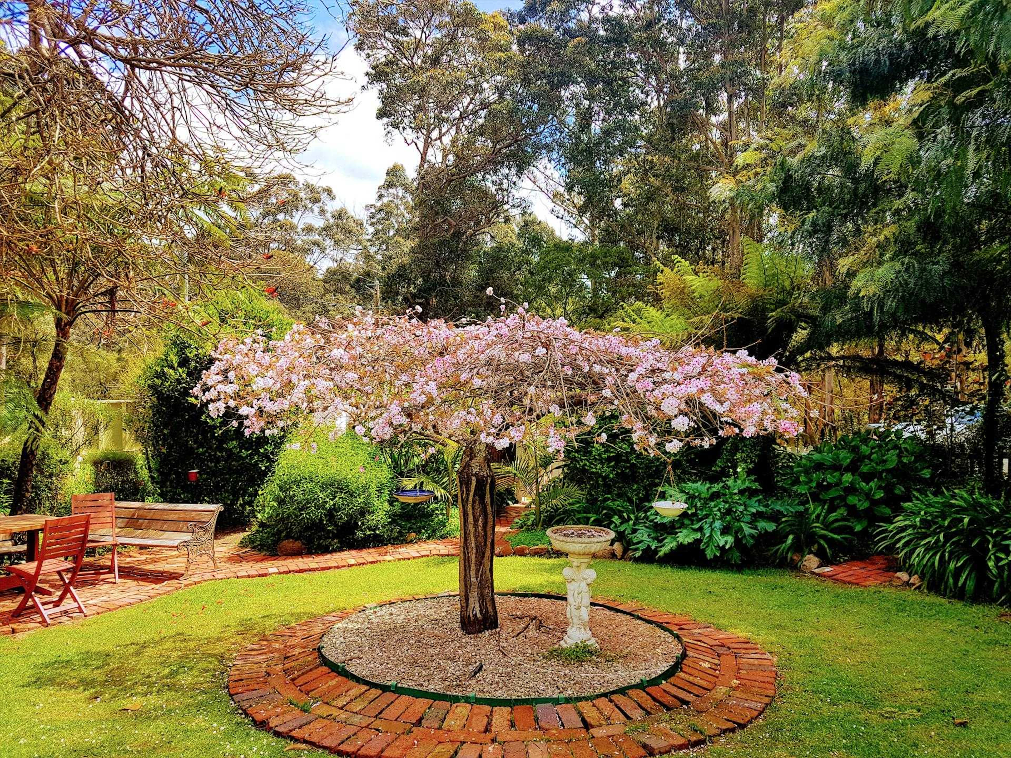 Adamsons Riverside Accommodation in Margaret River, WA — photo 4