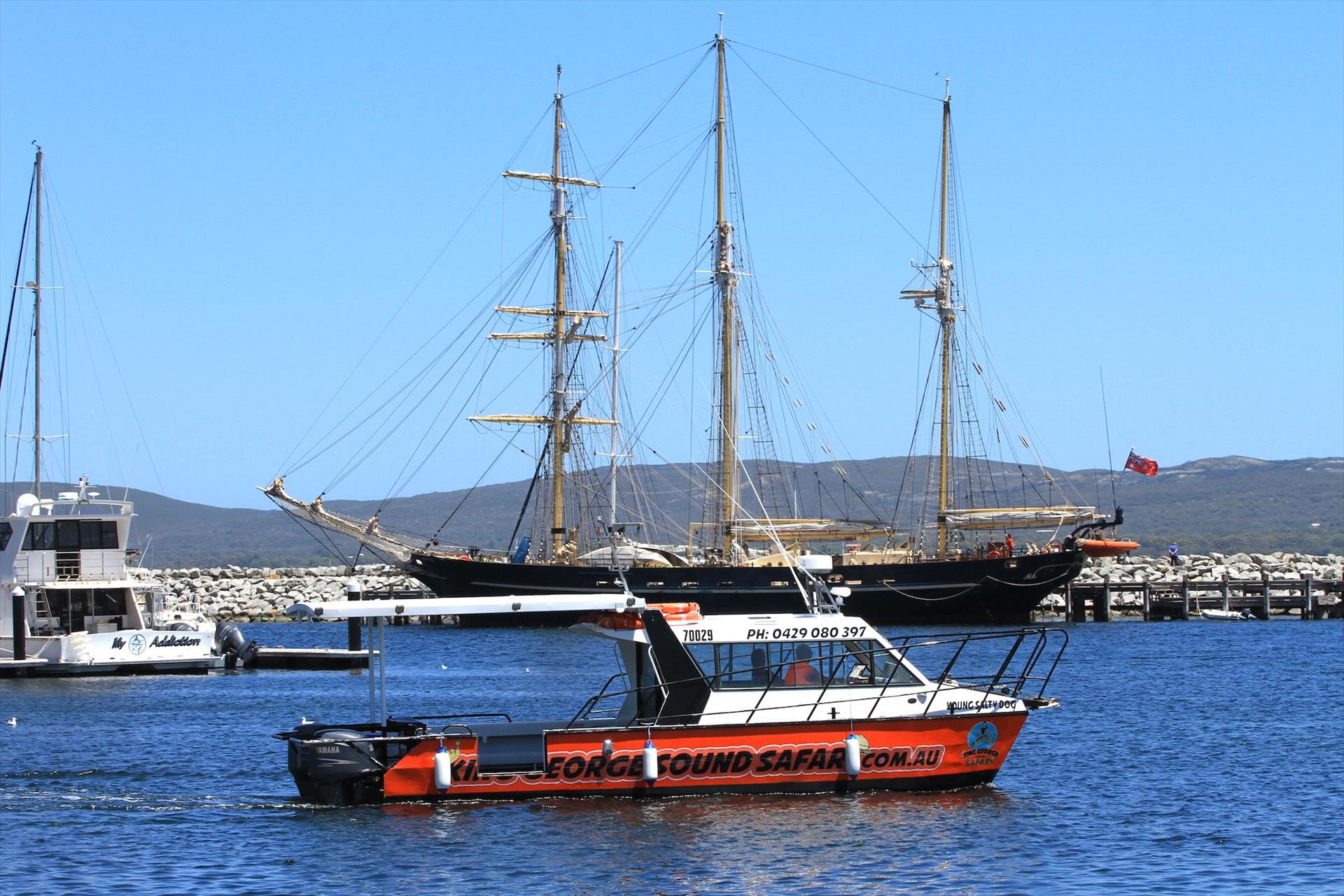 King George Sound Safari in Albany, WA — photo 1