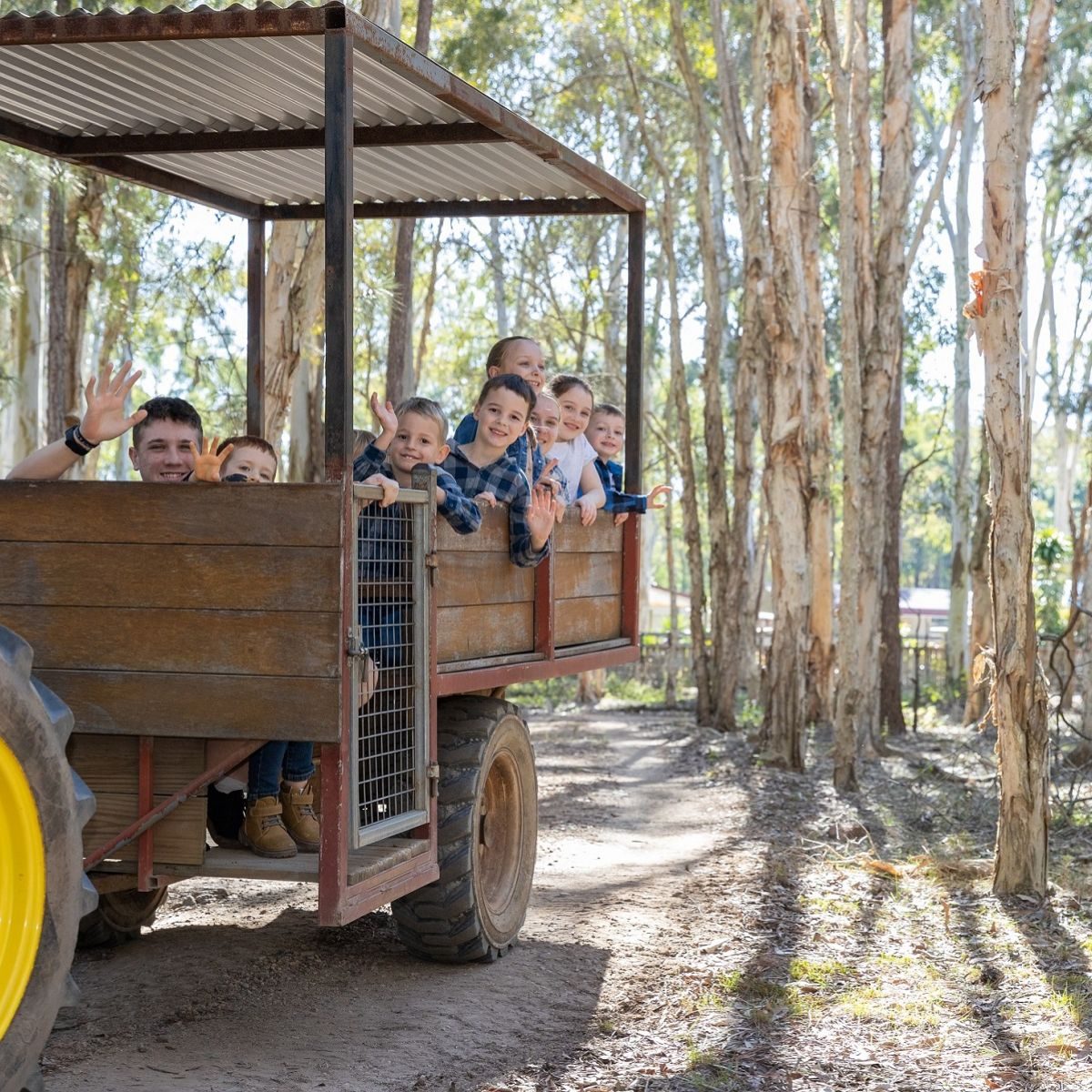 White Ridge Farm in Elimbah, QLD — photo 1