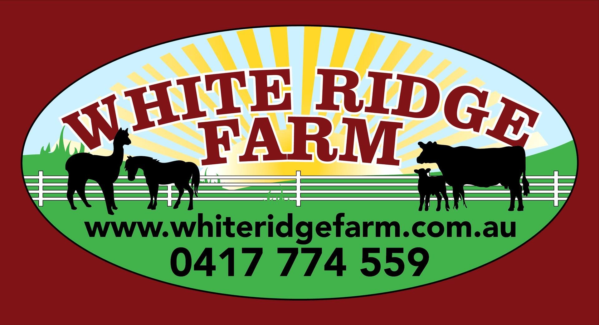 White Ridge Farm in Elimbah, QLD — photo 4