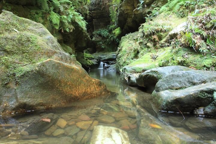 Eagle Rock Adventures (Sydney Canyon Adventures Pty Ltd) in Katoomba, NSW — photo 1