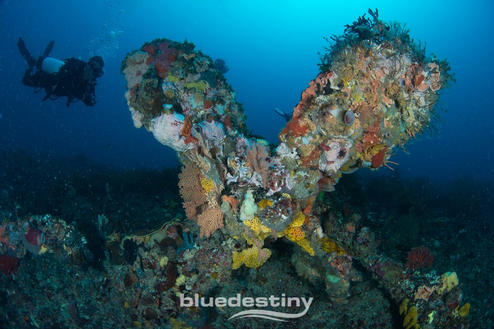 Blue Destiny Pty Ltd in Fremantle, WA — photo 3