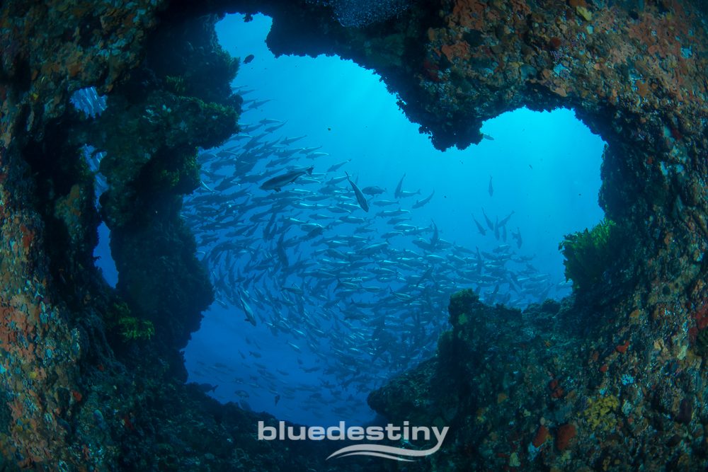 Blue Destiny Pty Ltd in Fremantle, WA — photo 5