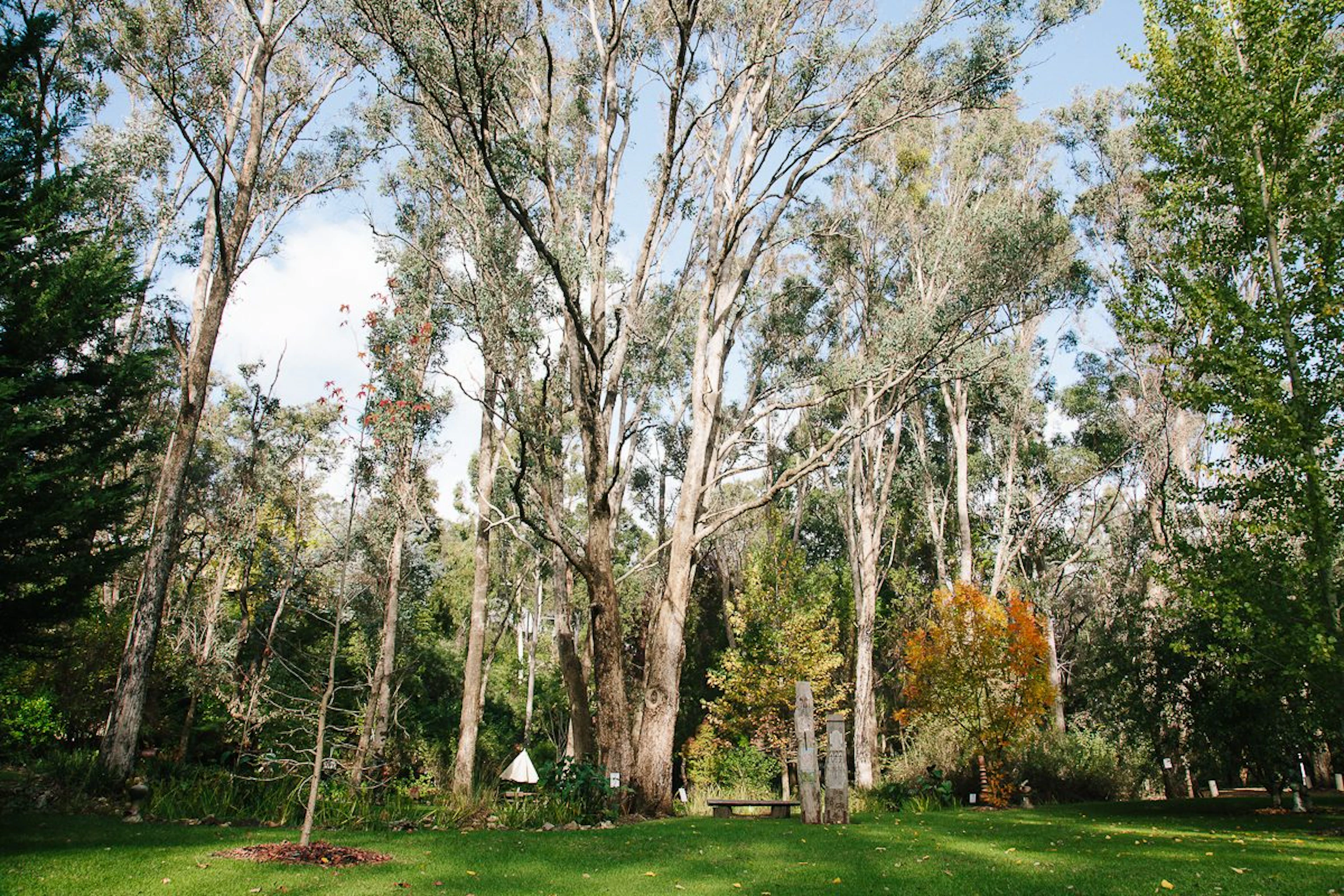 Holberry House in Nannup, WA — photo 4