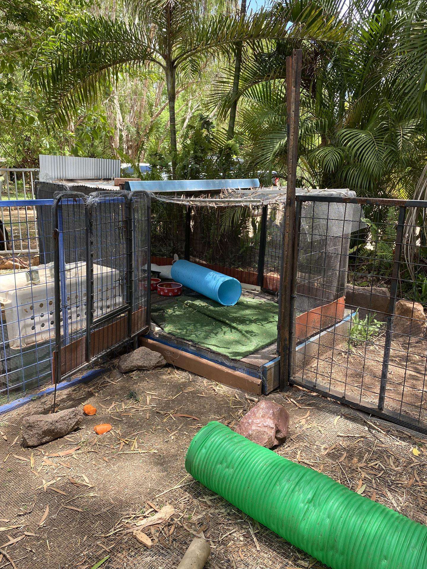 Douglas Daly Holiday Park in Winnellie, NT — photo 4