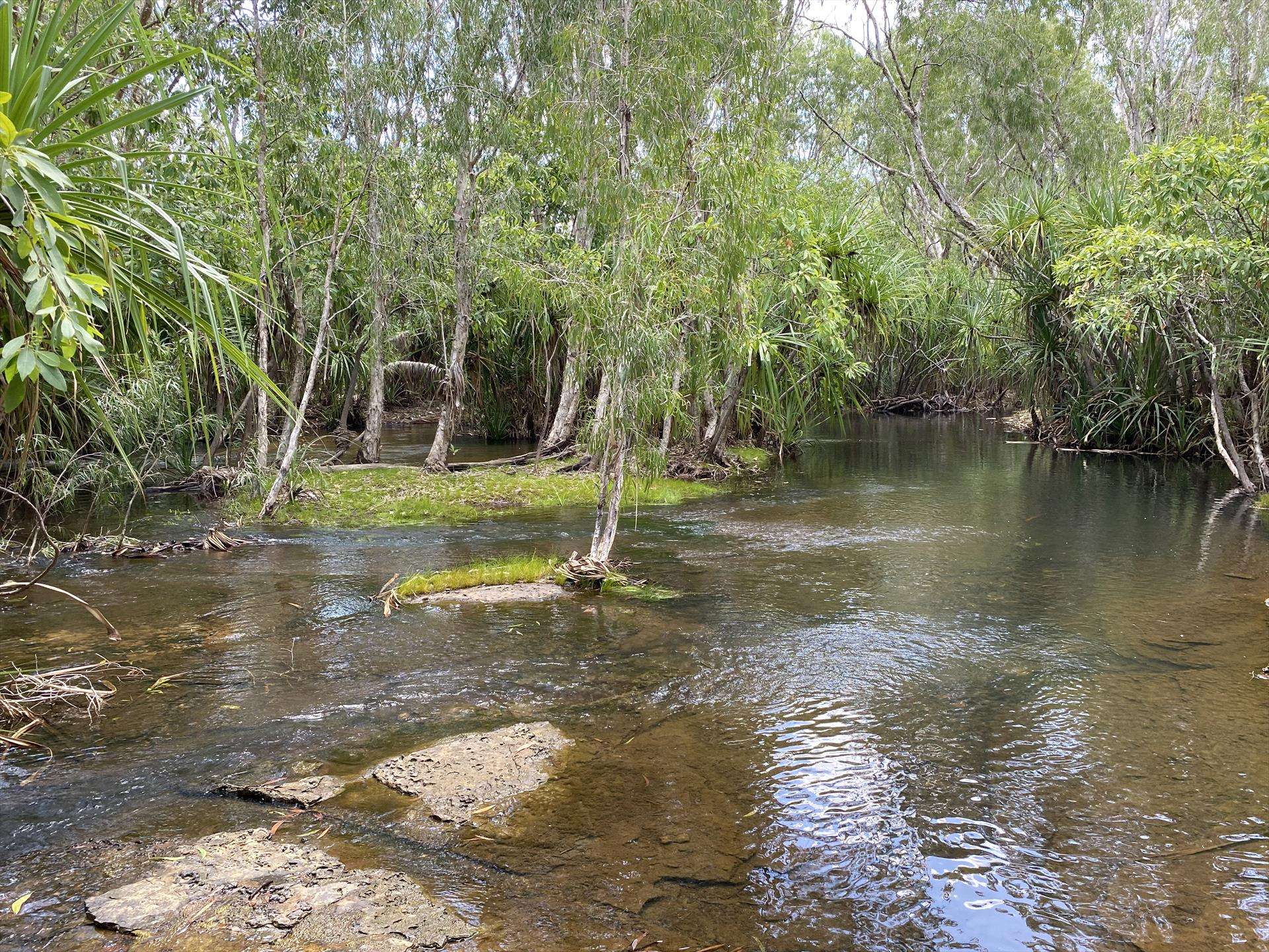 Douglas Daly Holiday Park — Winnellie, NT