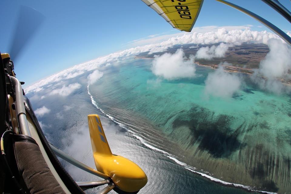 Birds Eye View Ningaloo in Exmouth, WA — photo 4