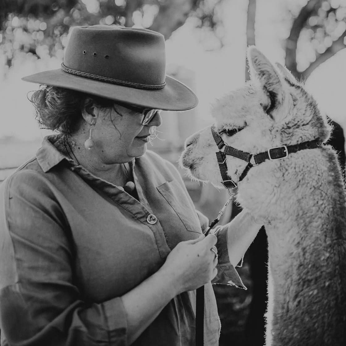 Quentin Park Alpacas and Studio Gallery in Peterborough, SA — photo 1