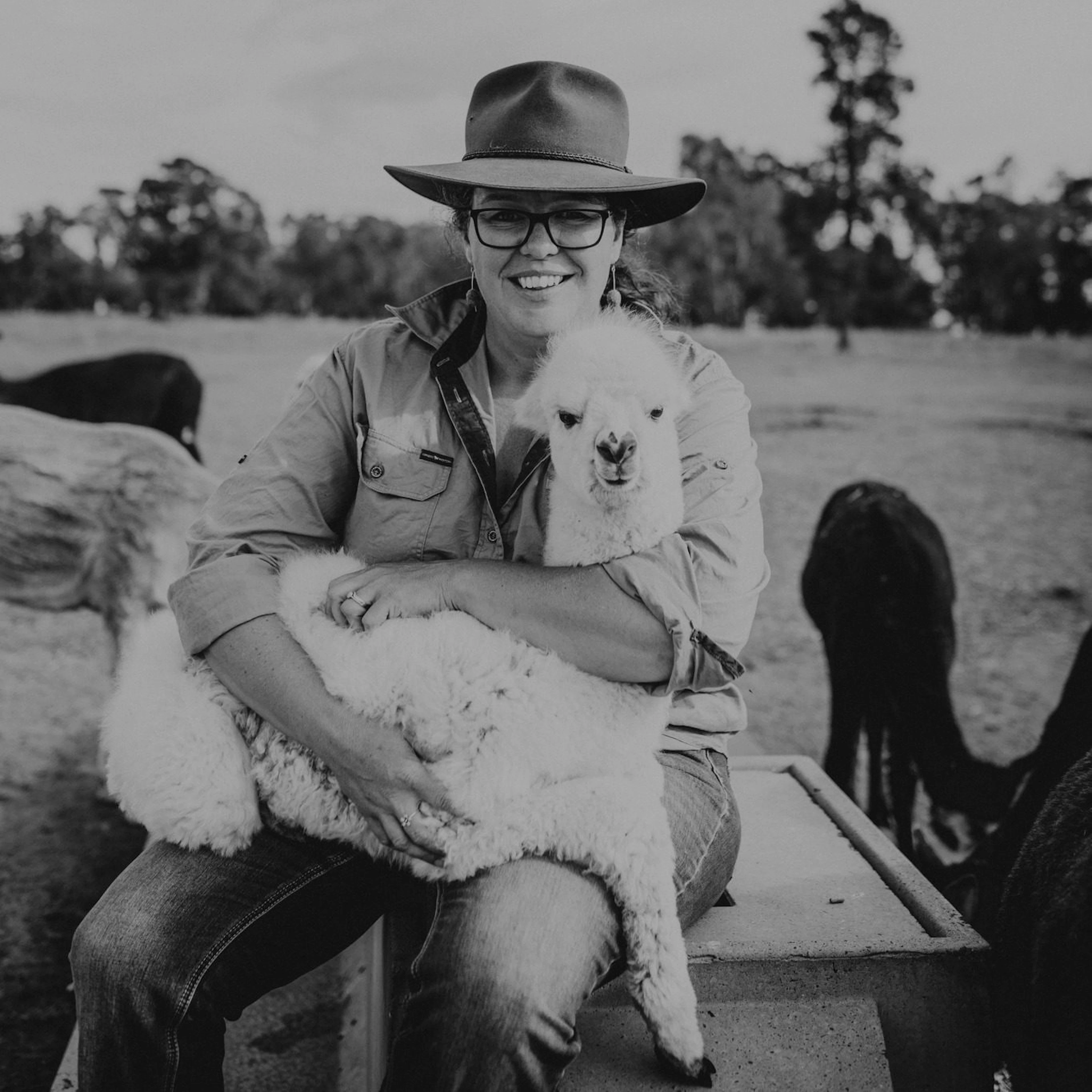 Quentin Park Alpacas and Studio Gallery in Peterborough, SA — photo 4