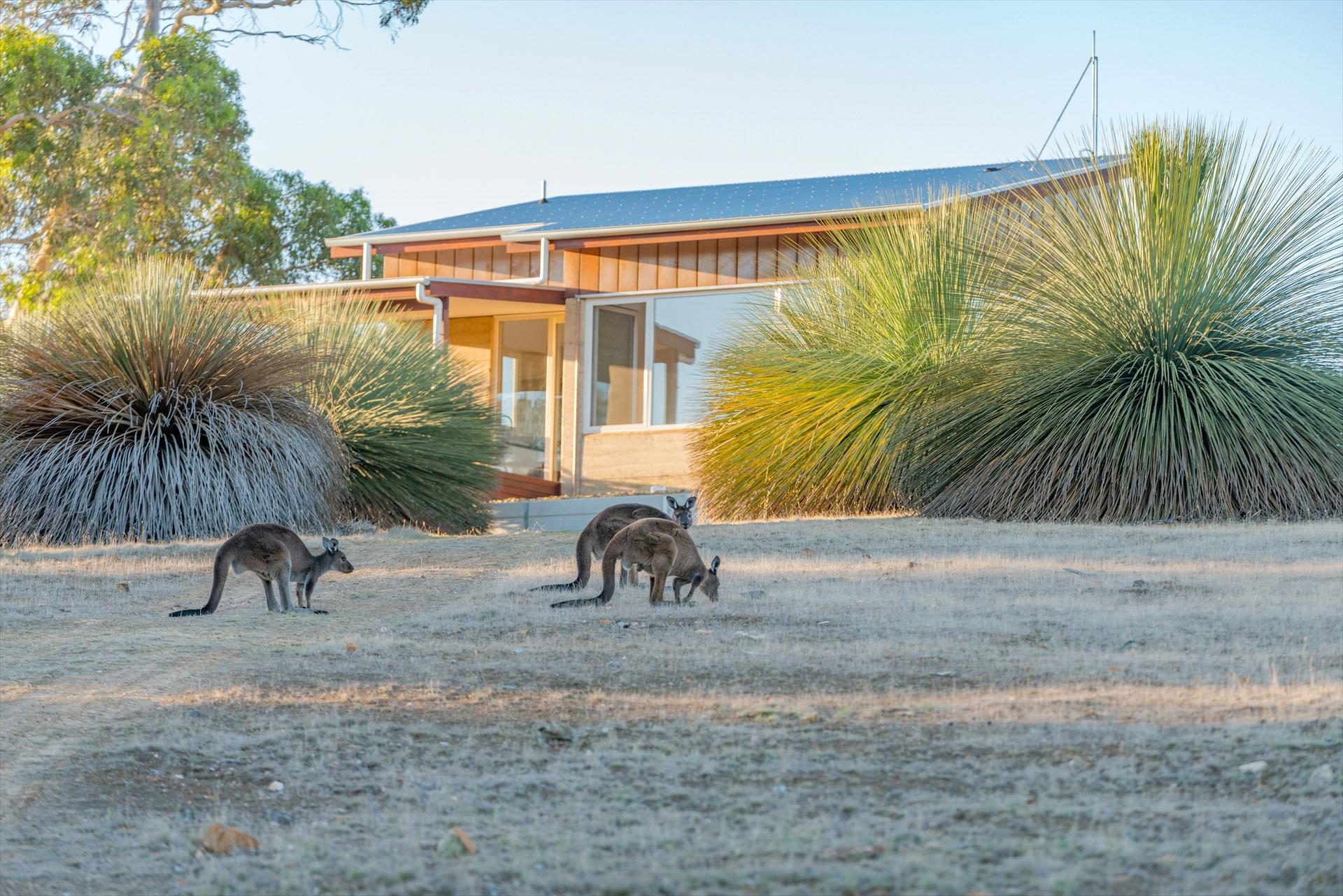 Ecopia Retreat in Kangaroo Island, SA — photo 5