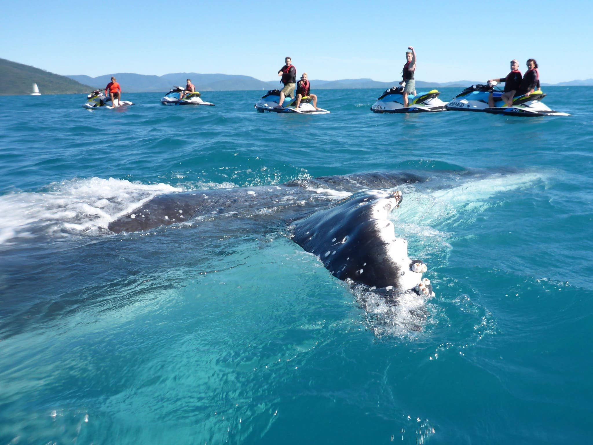Whitsunday Jetski Tours in Airlie Beach, QLD — photo 1