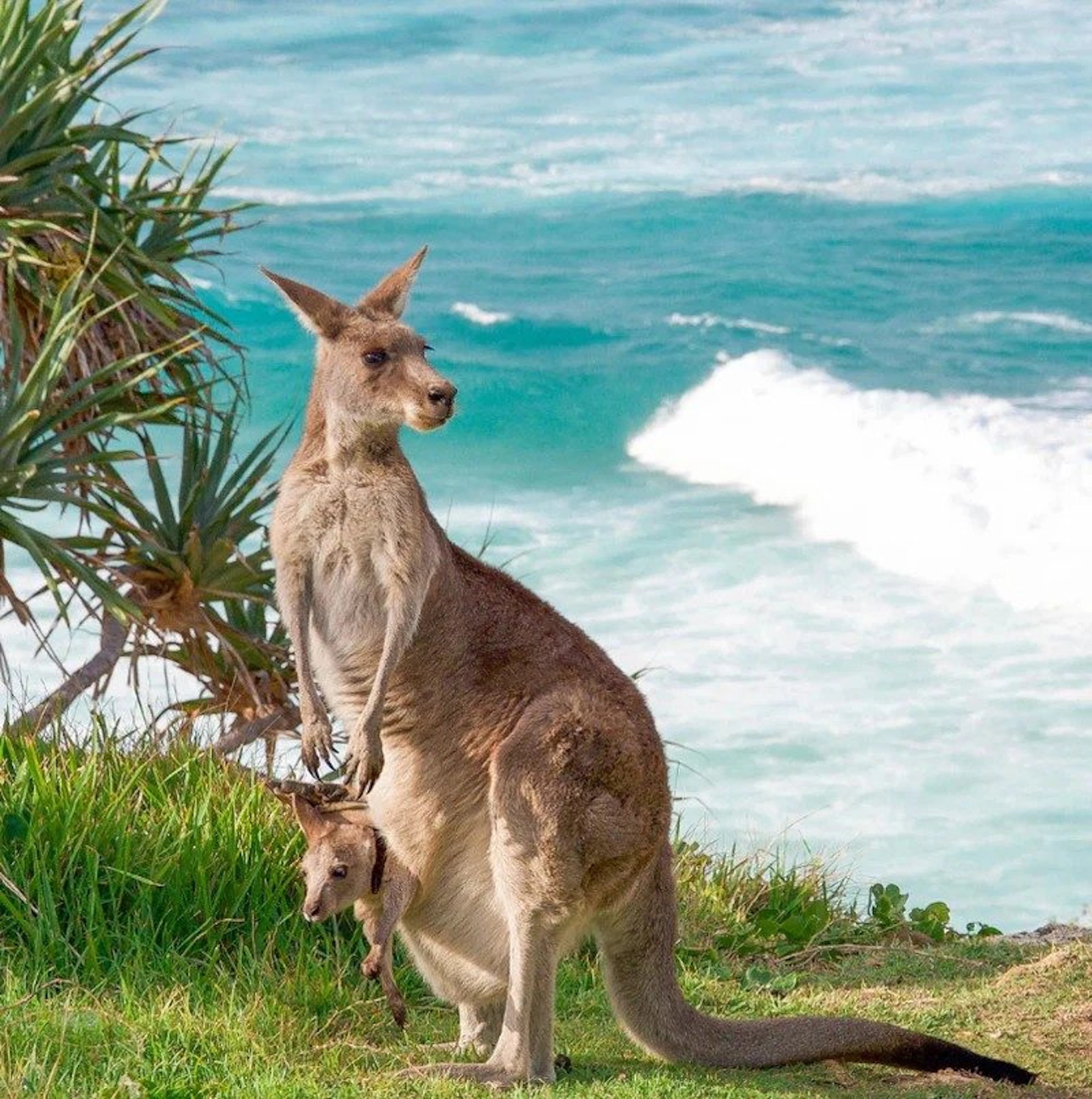 Stradbroke Island Tours in Brisbane, QLD — photo 5