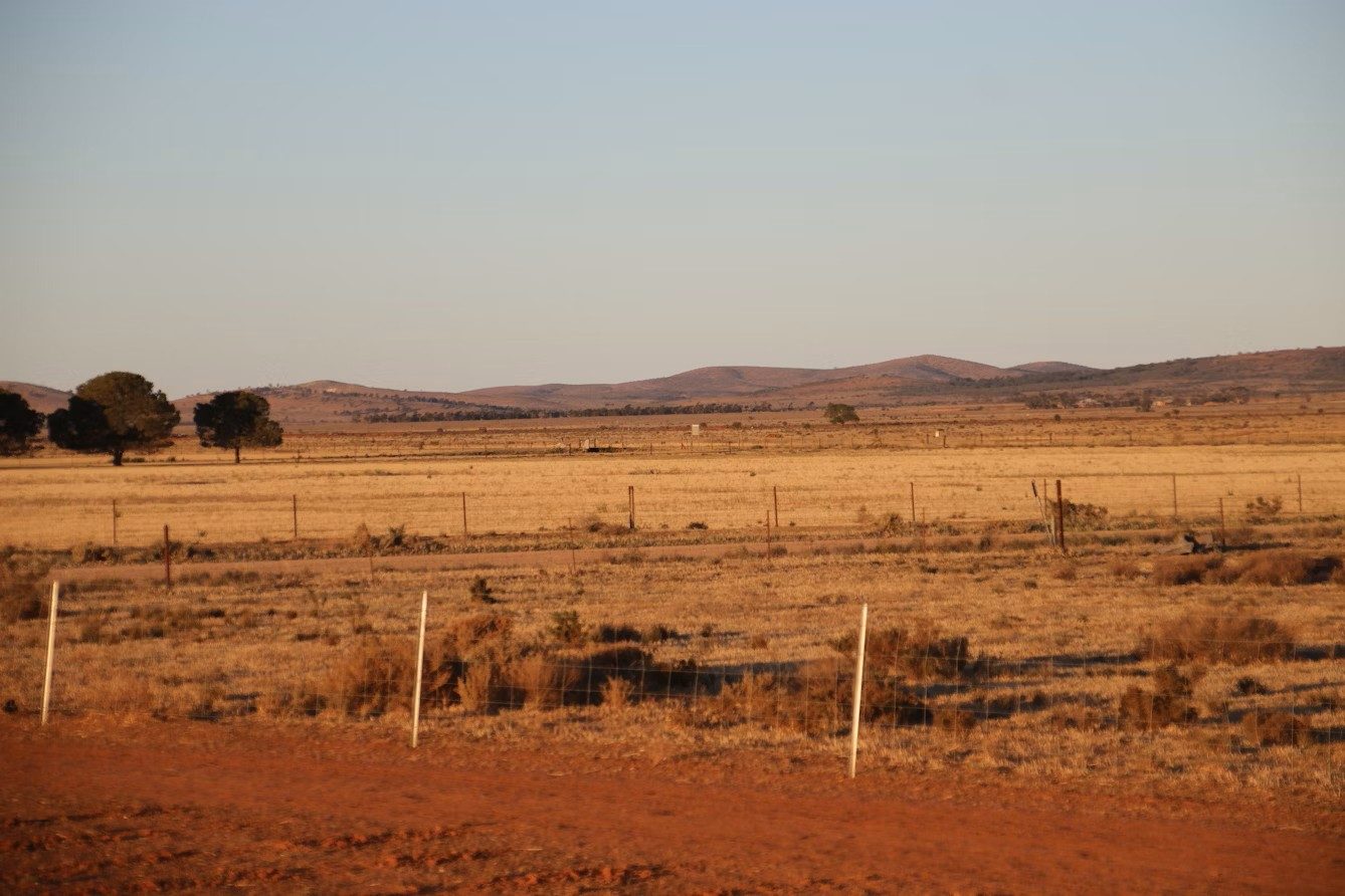 Quentin Park Alpacas and Farm Stay in Peterborough, SA — photo 1