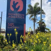 Monsoon Aquatics in Burnett Heads, QLD — photo 2