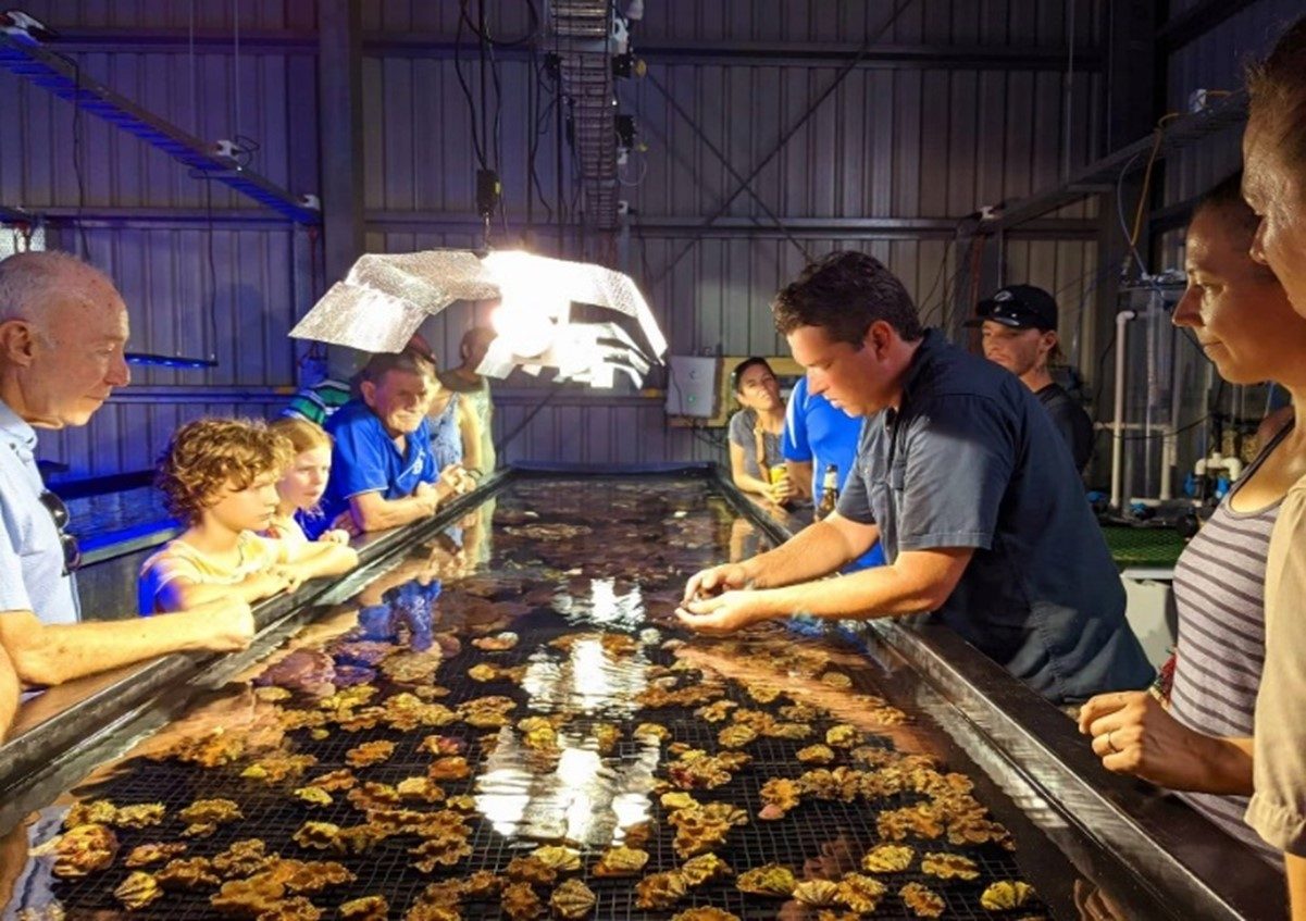 Monsoon Aquatics in Burnett Heads, QLD — photo 4