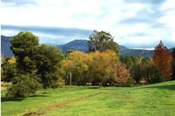 Buffalo Motel and Country Retreat in Porepunkah, VIC — photo 2