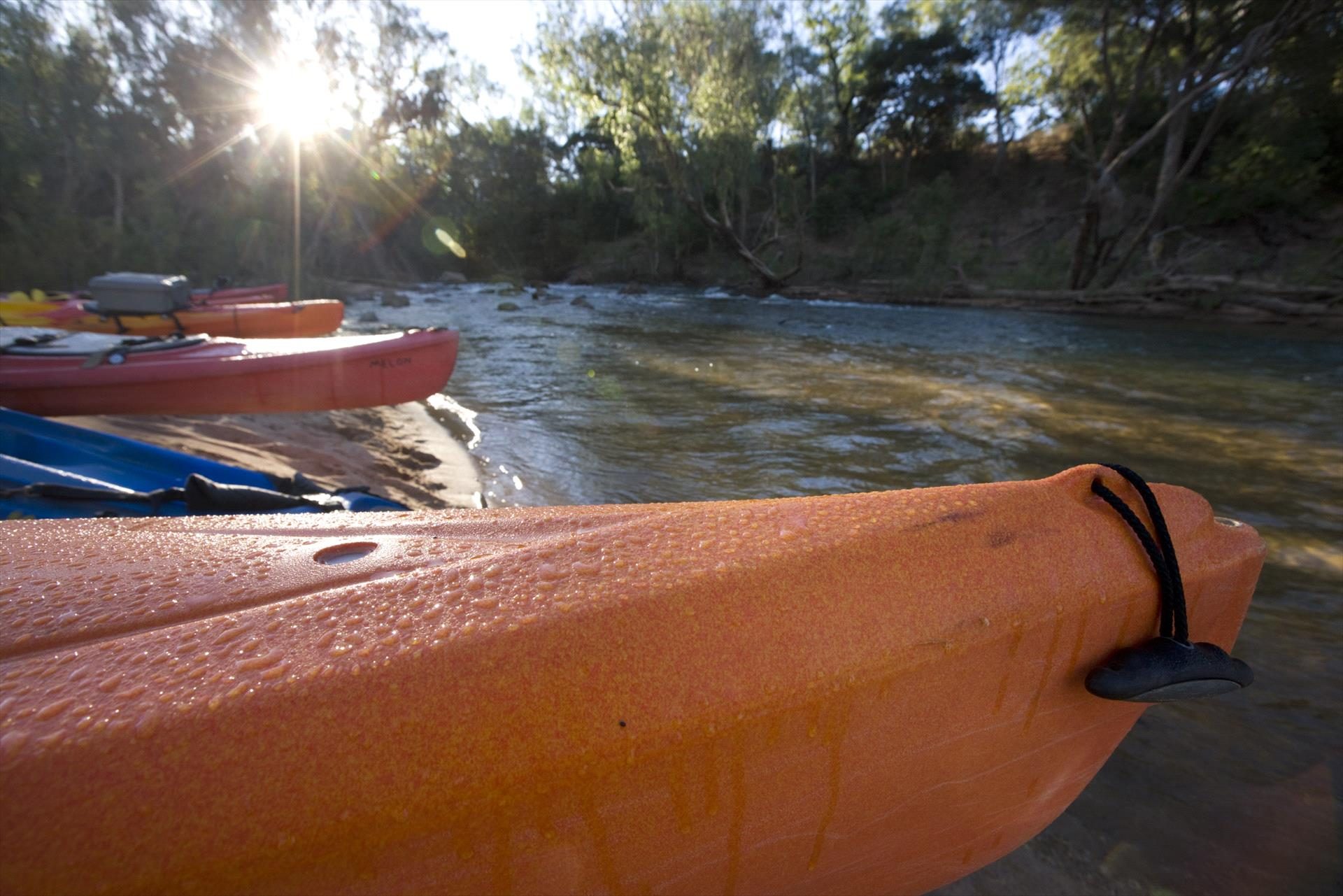 Gecko Canoeing and Trekking in Katherine, NT — photo 5