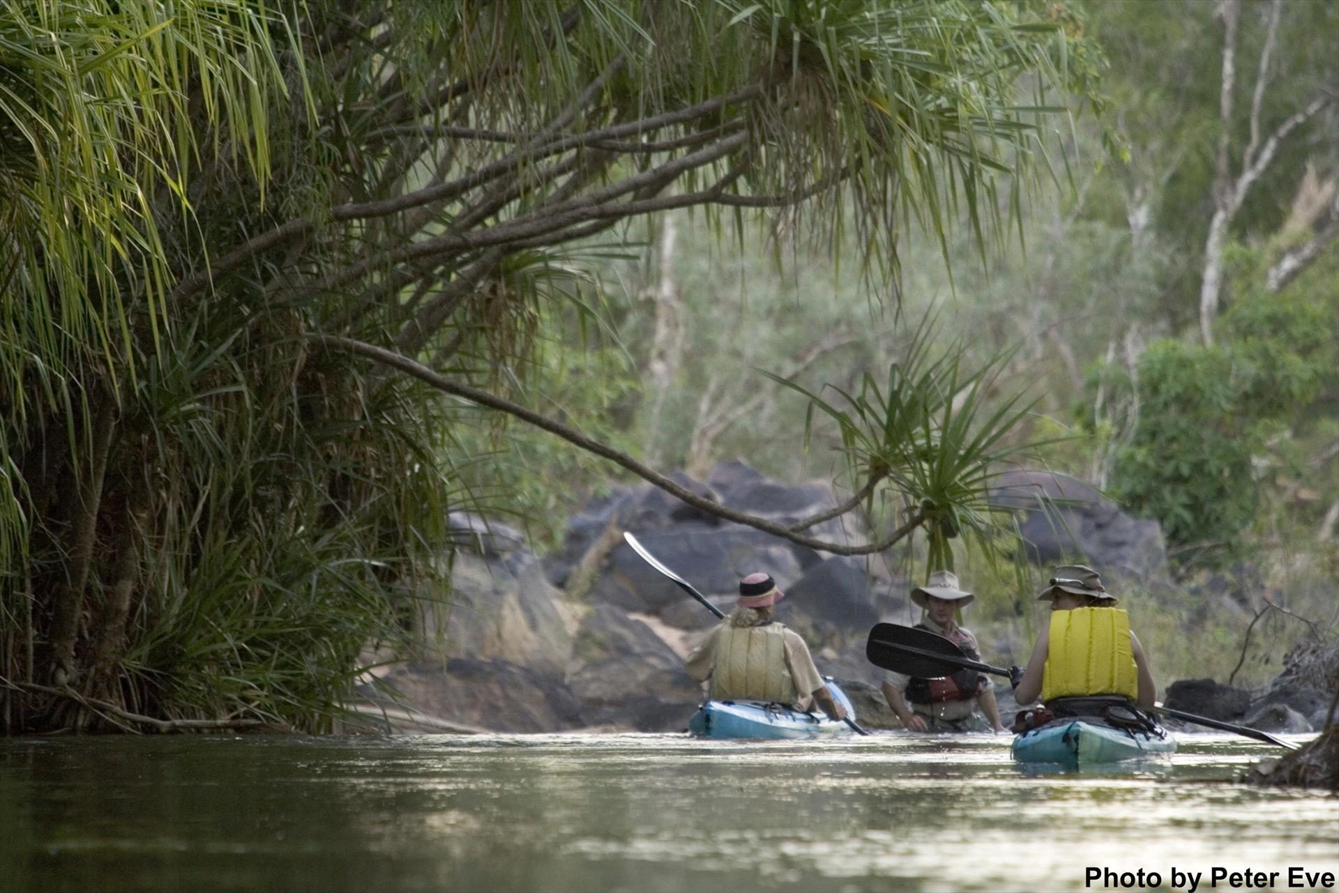 Gecko Canoeing and Trekking in Katherine, NT — photo 2