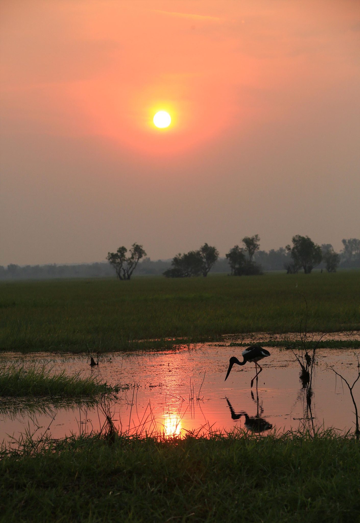 Wetland Cruises in Darwin, NT — photo 4