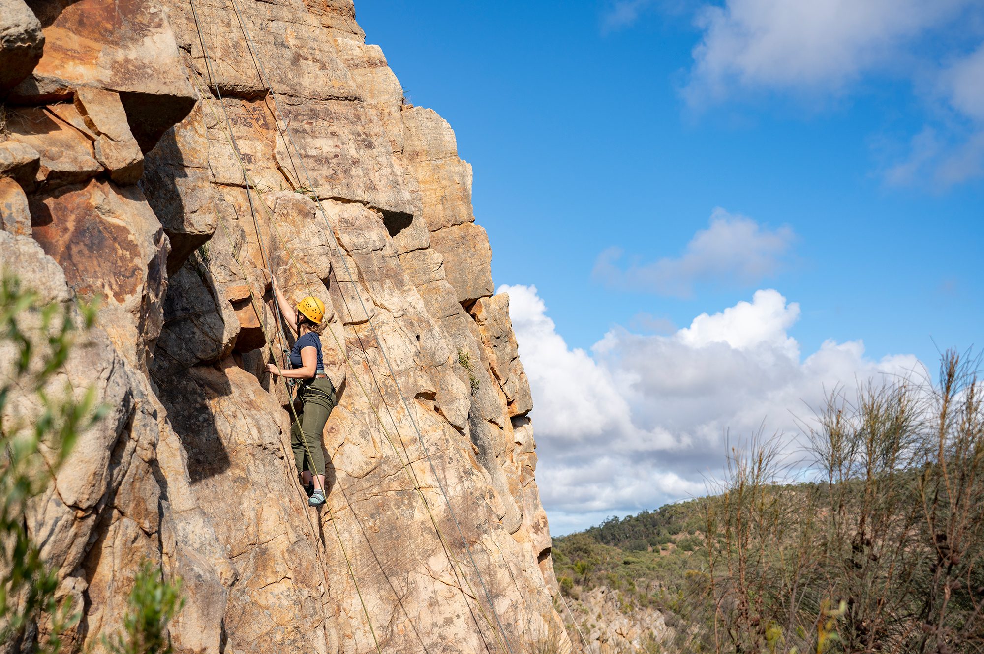 Earth Adventure in Glynde, SA — photo 4