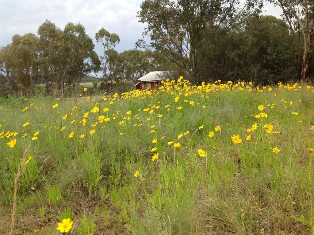 Fergies Hill Cottage in Ballandean, QLD — photo 1