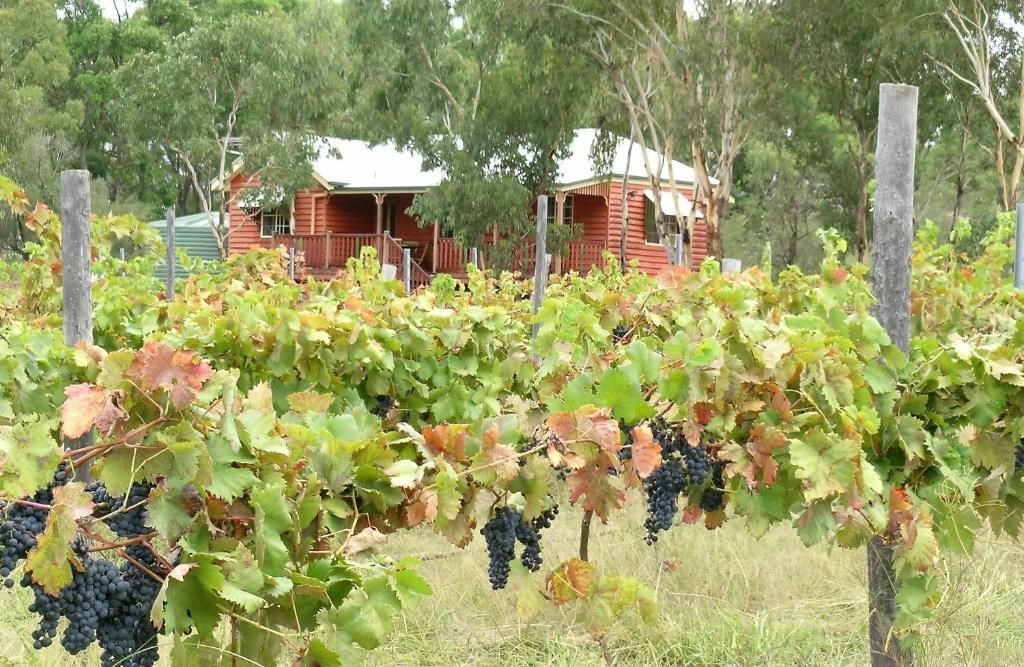 Fergies Hill Cottage in Ballandean, QLD — photo 3