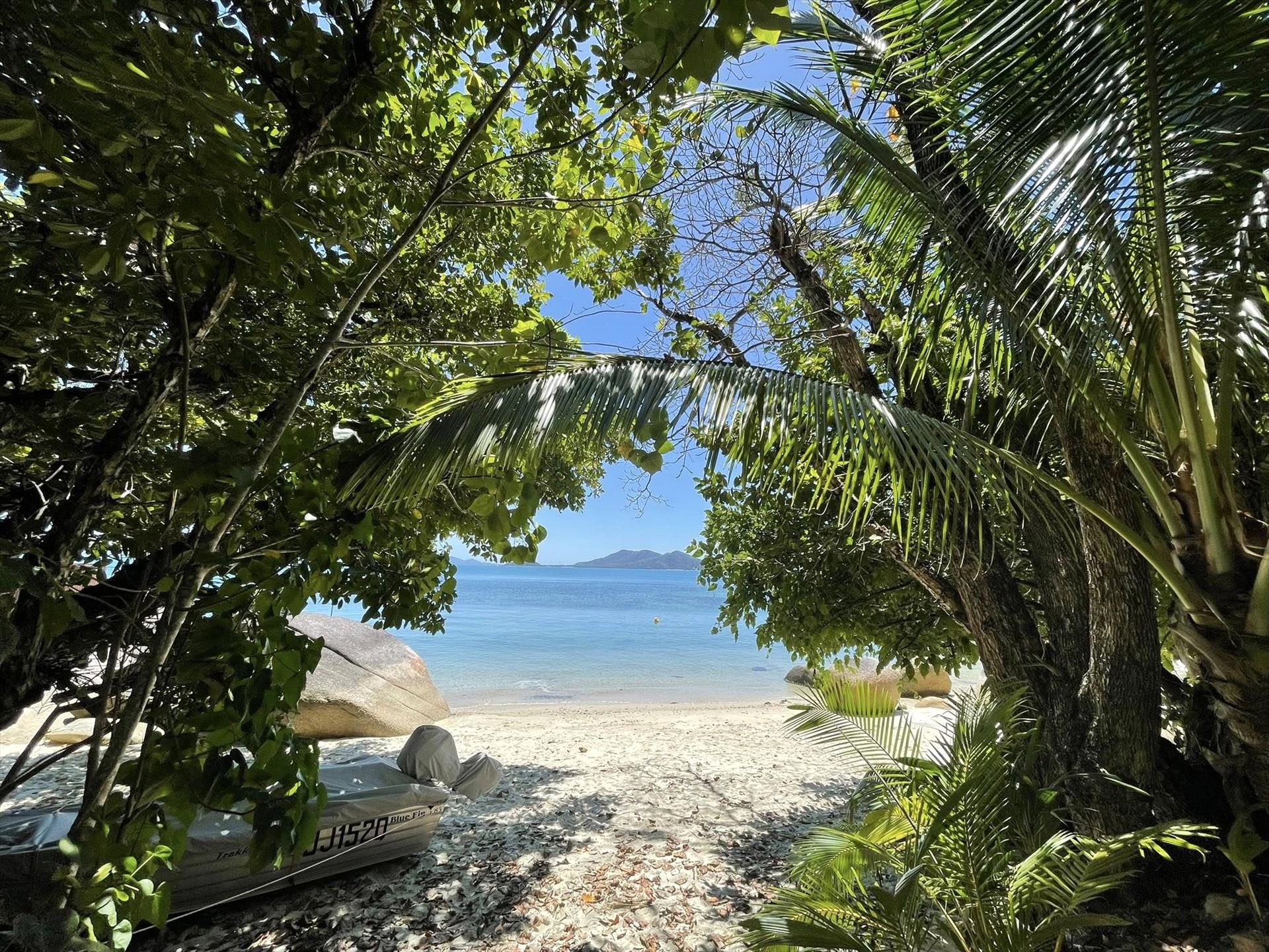 Mission Beach Adventures in Mission Beach, QLD — photo 4