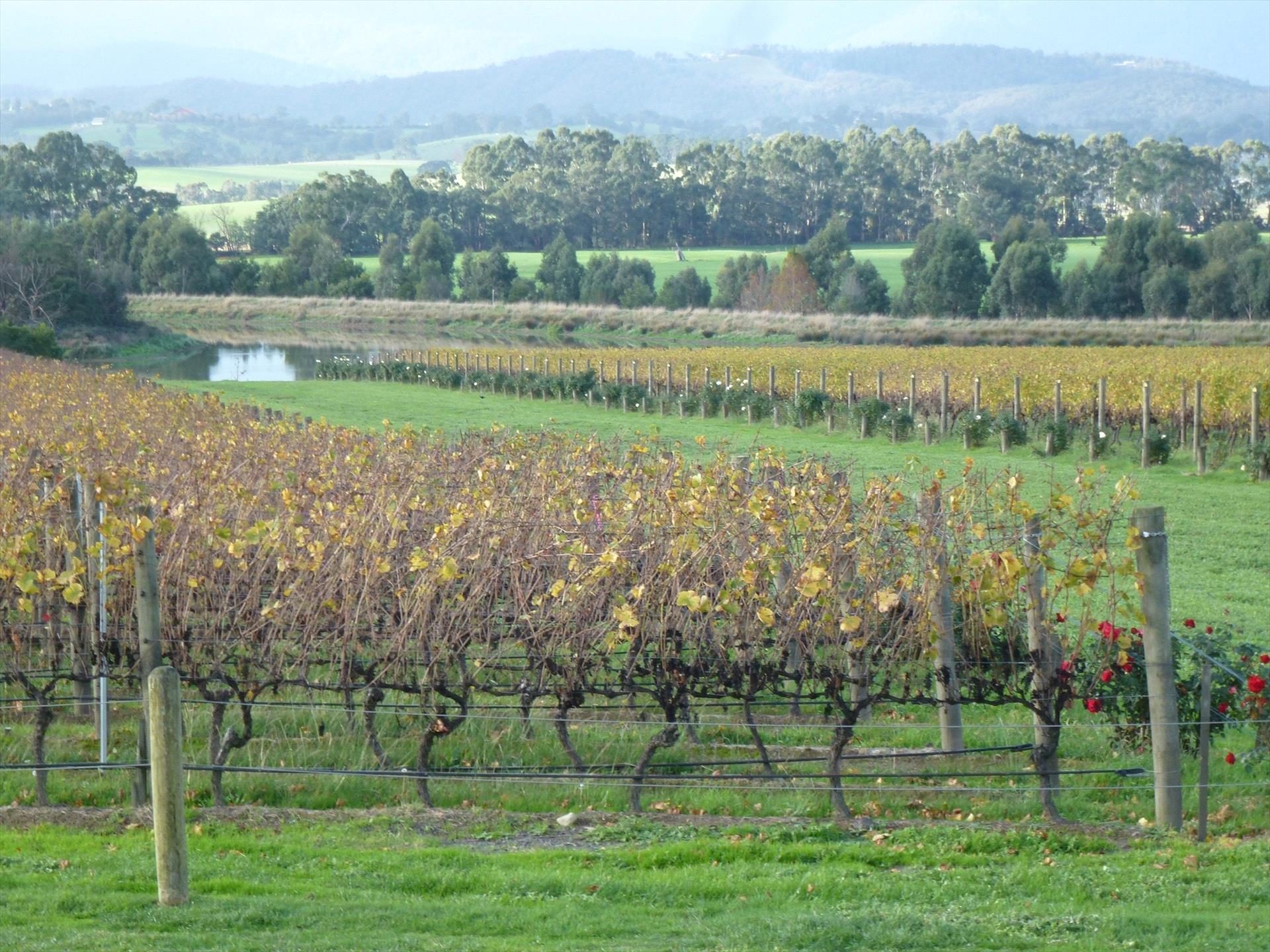 Australian Wine Tour Company in Footscray, VIC — photo 2
