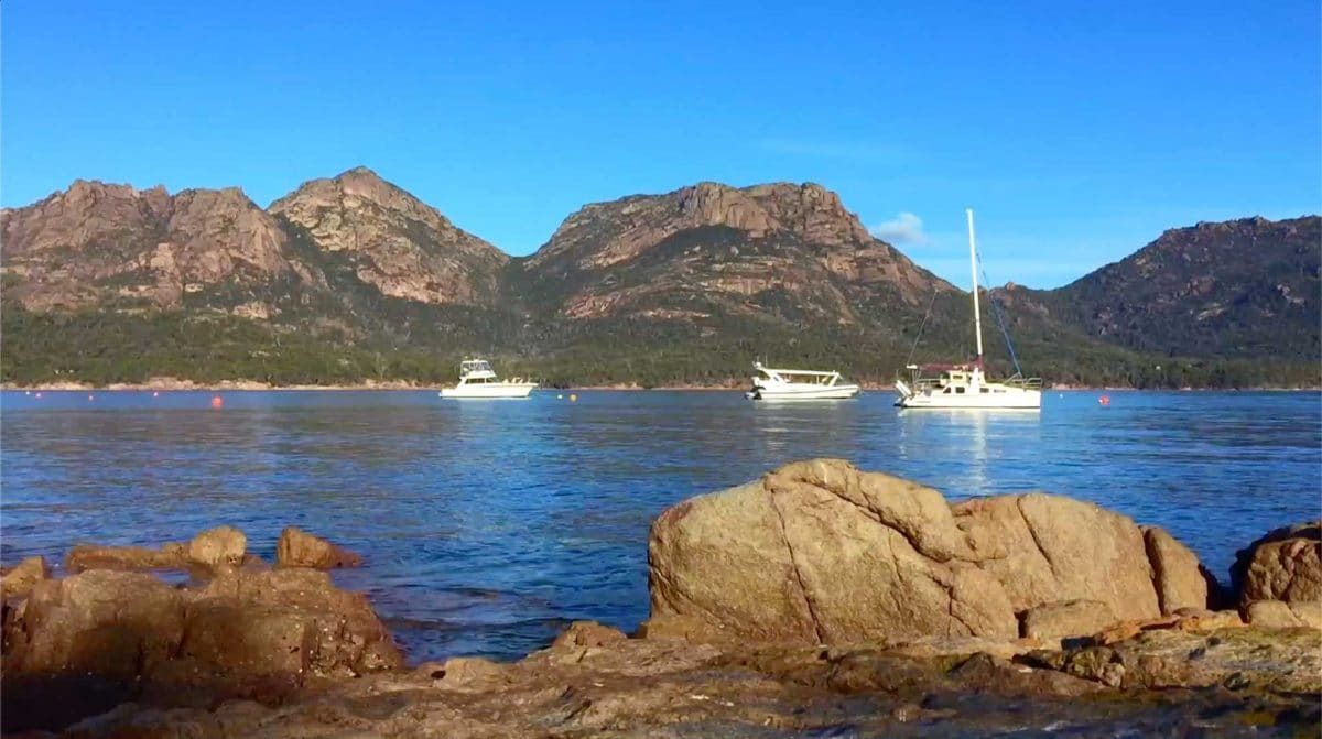 Gumnut Cottage in Coles Bay, TAS — photo 4