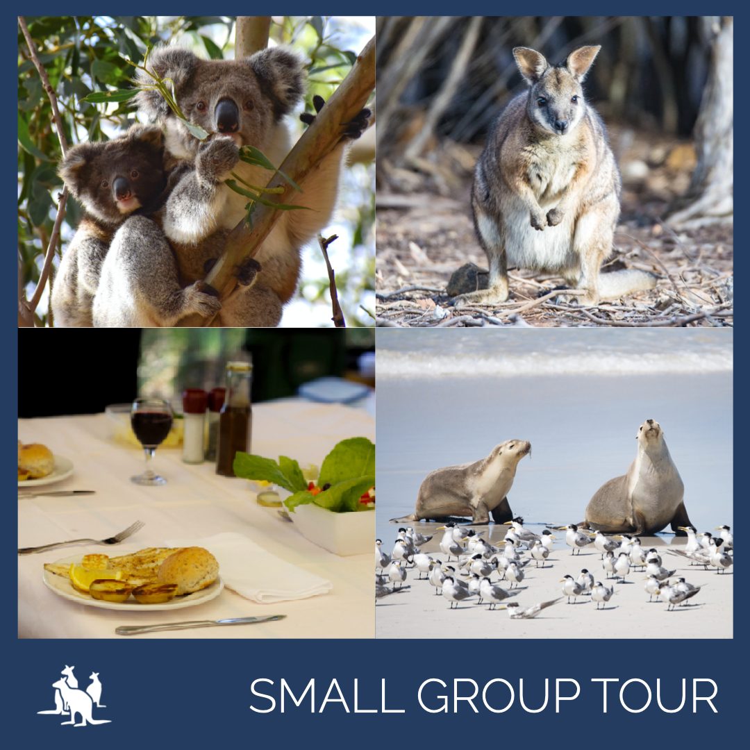 Exceptional Kangaroo Island in Cygnet River, SA — photo 2