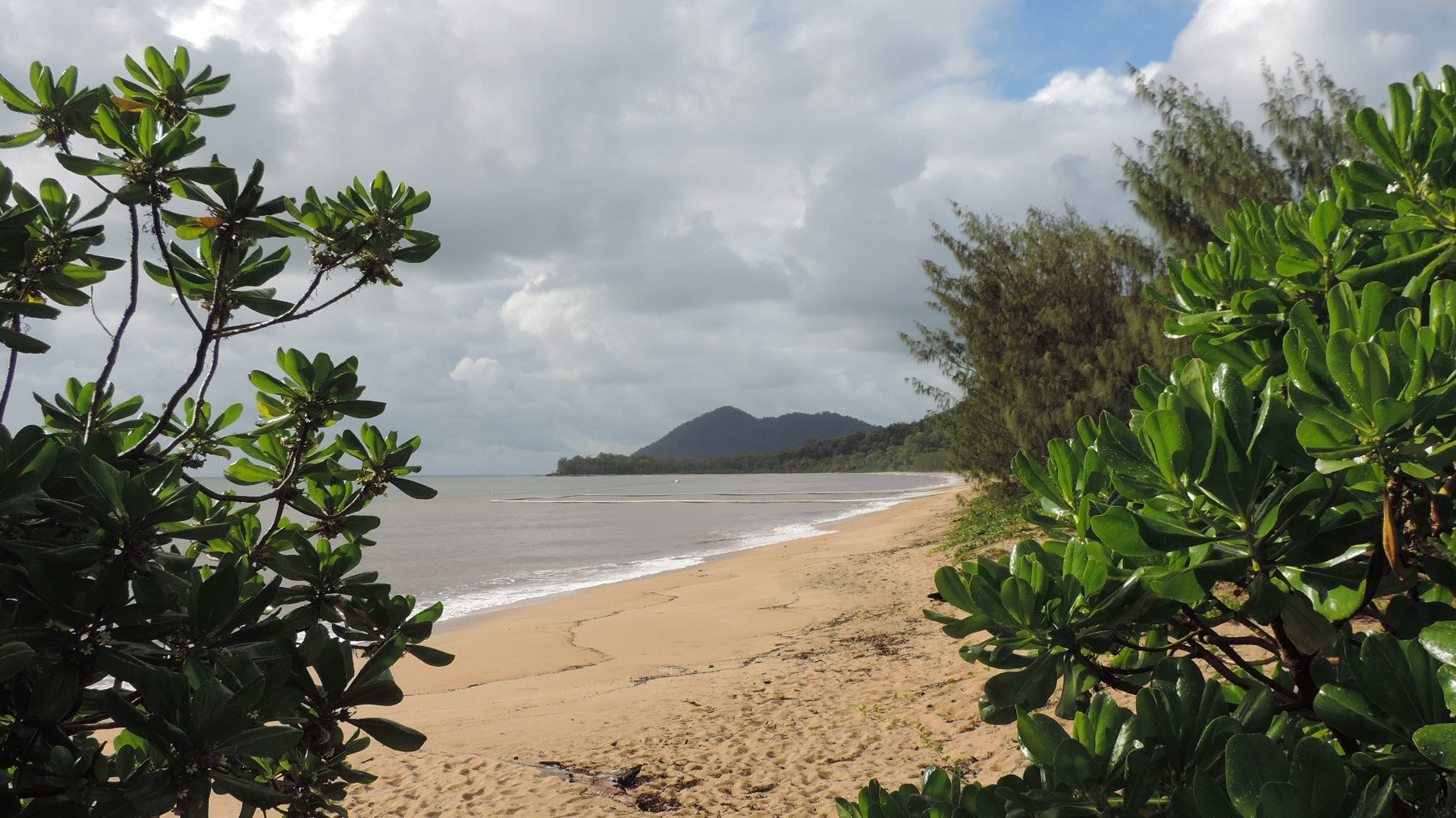 Bramston Beach Campground — Bramston Beach, QLD