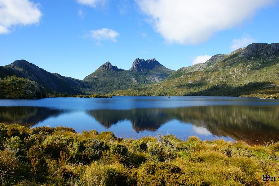 Tasmania Tours 4U in Newnham, TAS — photo 4