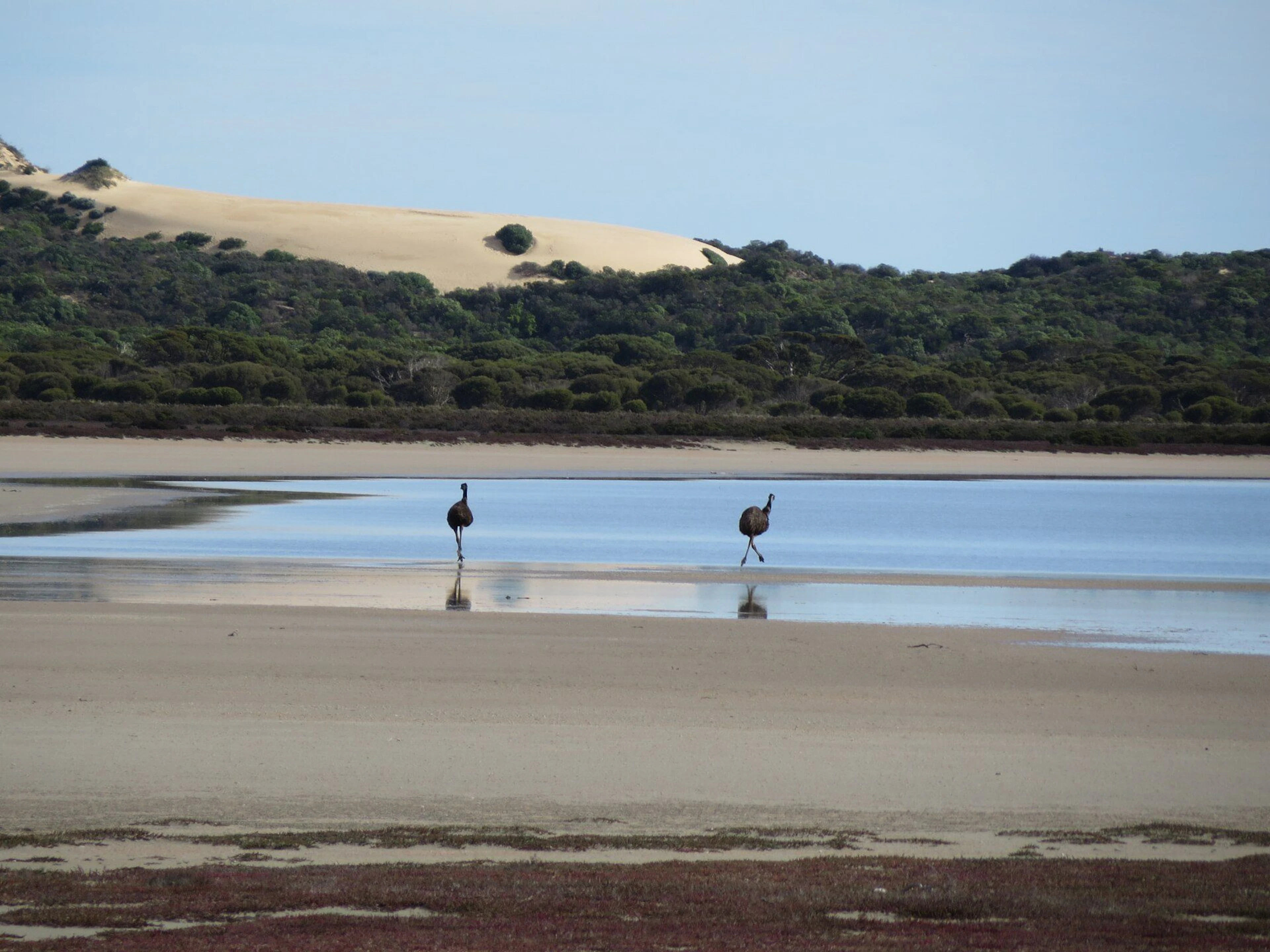 42 Mile Crossing Campground in Coorong, SA — photo 1