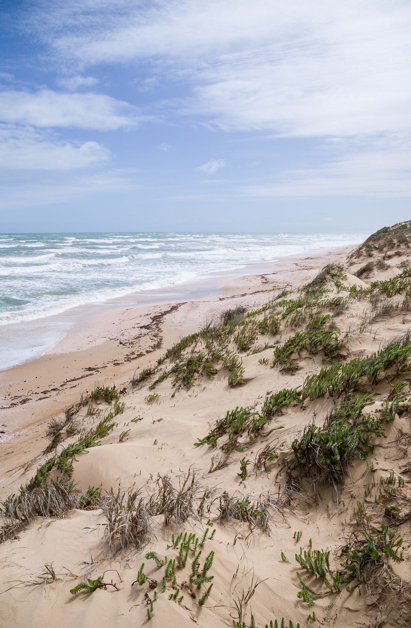 Parnka Point Camping Area in Coorong, SA — photo 1
