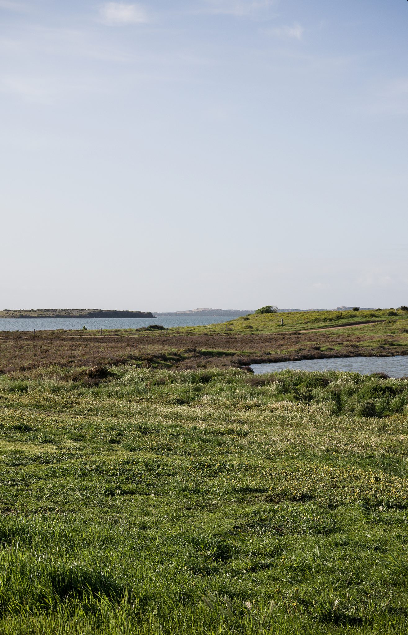Long Point Camping Area — Meningie, SA