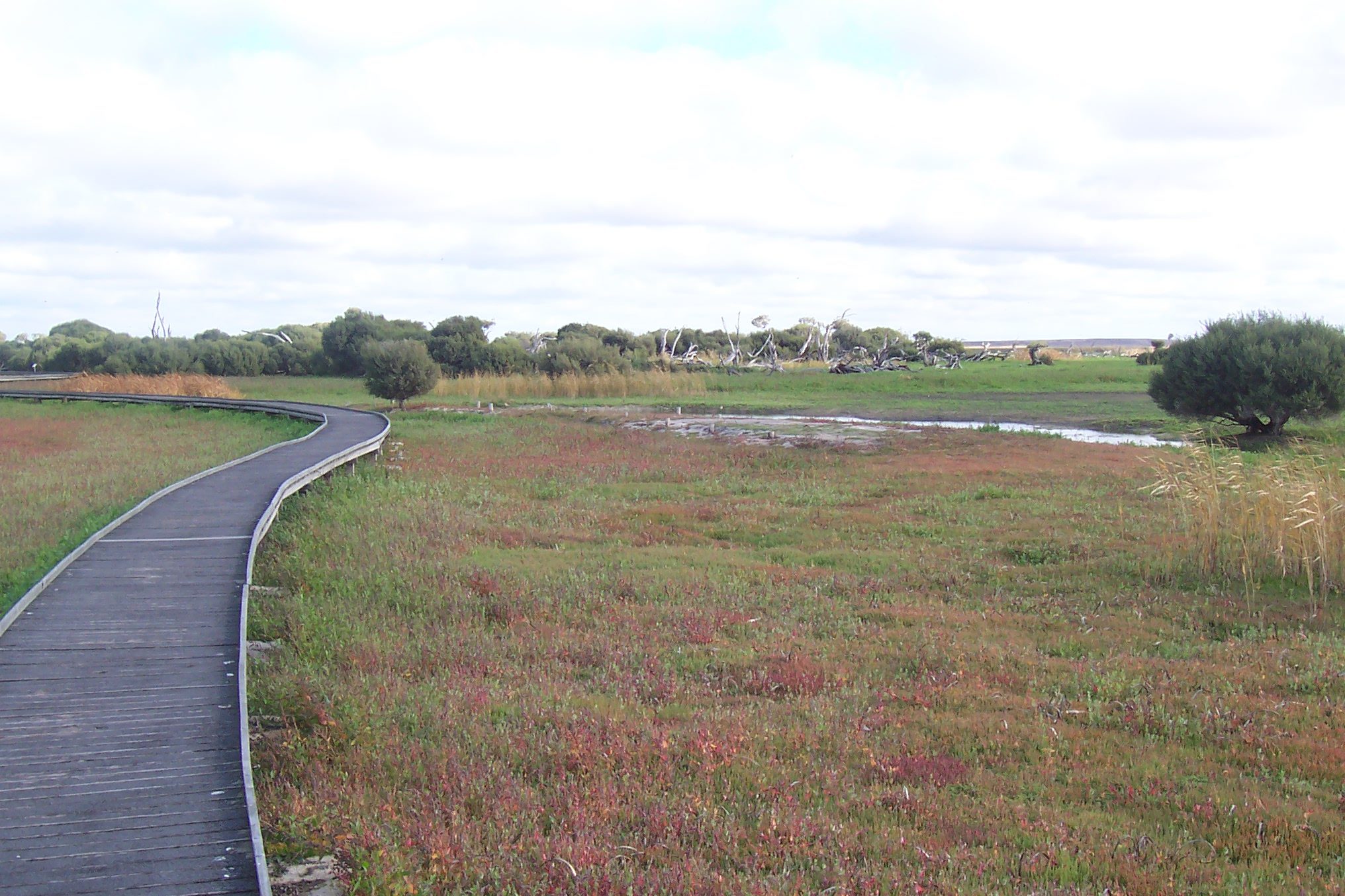 Bool Lagoon Game Reserve in Bool Lagoon, SA — photo 2