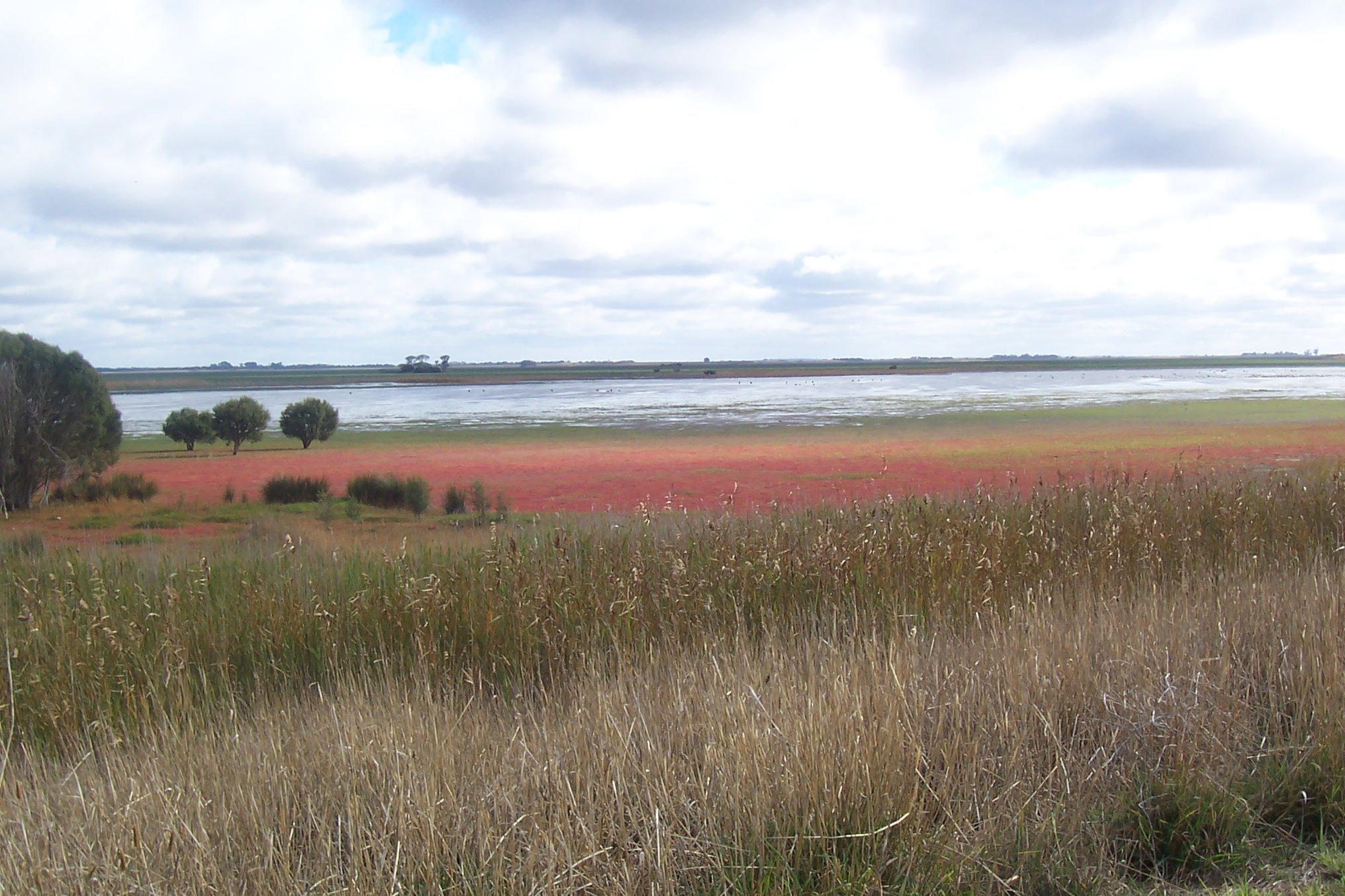 Bool Lagoon Game Reserve — Bool Lagoon, SA