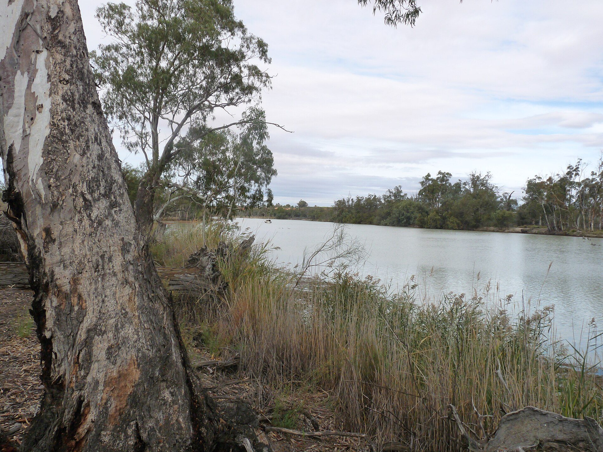 Bert Dix Memorial Park in Paringa, SA — photo 1