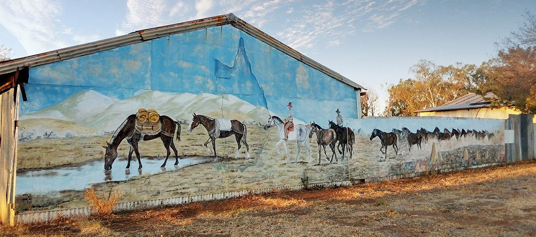 Camooweal Roadhouse Caravan Park in Camooweal, QLD — photo 5