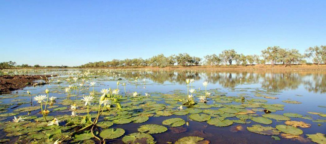Camooweal Roadhouse Caravan Park — Camooweal, QLD