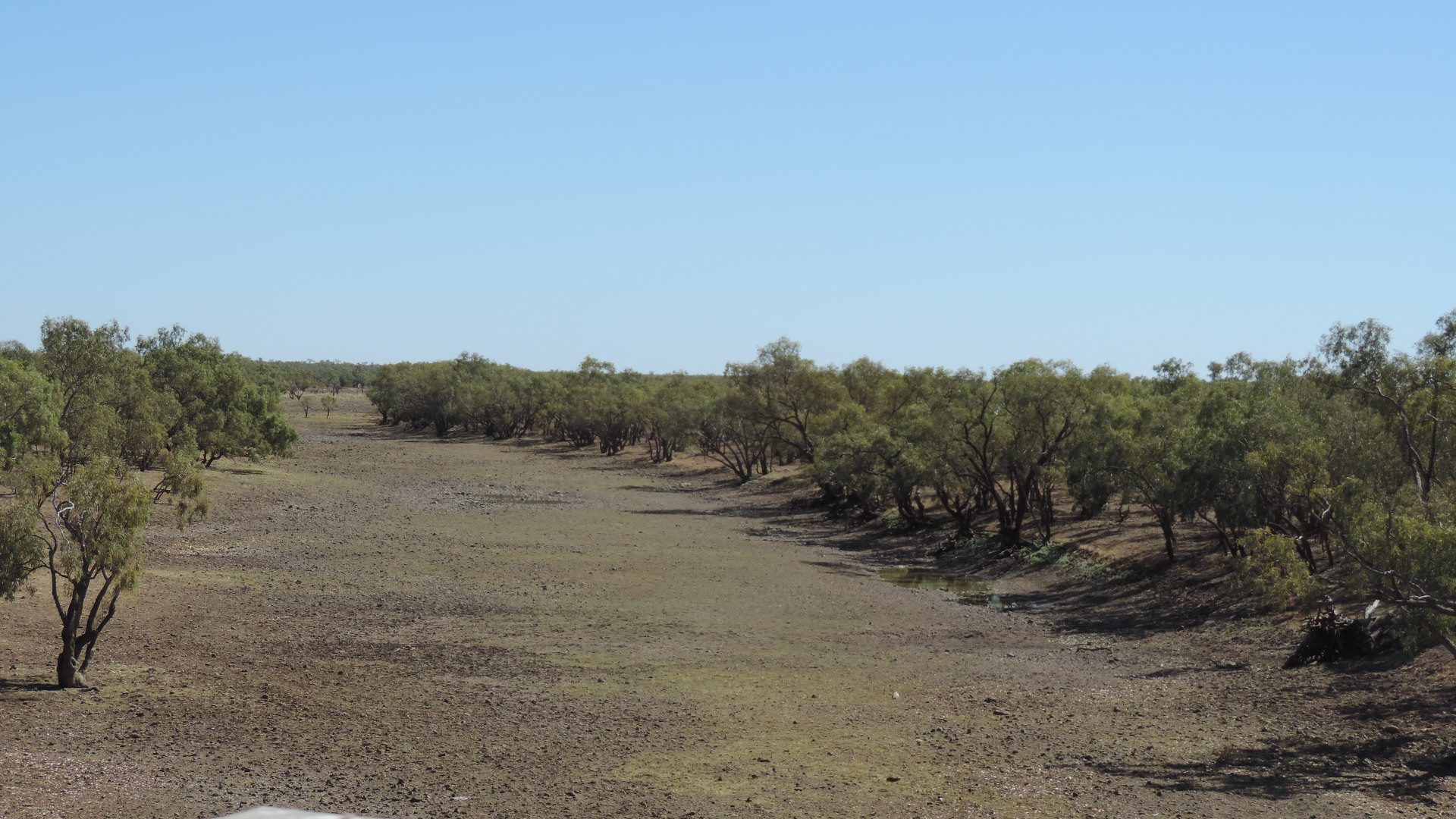 Camooweal Billabong Lake Francis and Lake Canellan Camping Areas in Camooweal, QLD — photo 2